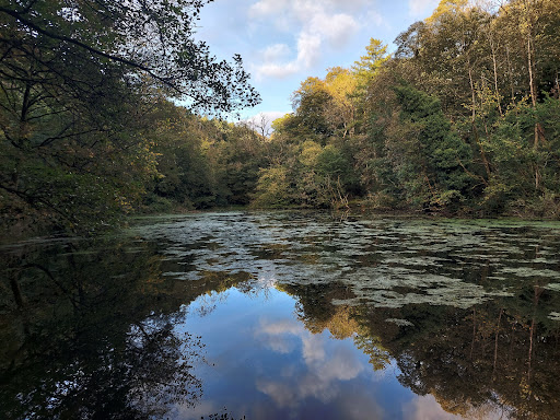 Round Dam - Visual