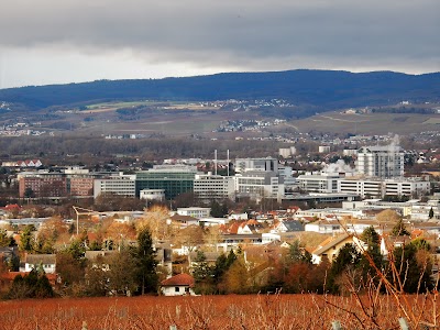 Photos of Boehringer Ingelheim