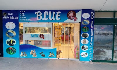 Blue Petshop