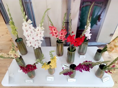 Photos of Talsi Regional Museum