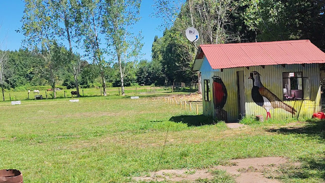 Opiniones de Camping Doña Isidora en Los Ángeles - Hotel