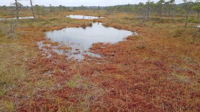 Photos of K&otilde;rvemaa Landscape