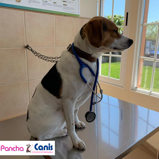 Clínica Veterinaria Canis Monforte