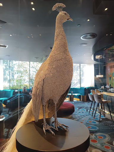 The Birdcage Bar - Thumbnail