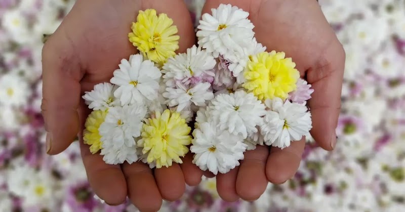 高岡農園直売所