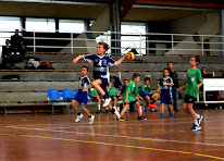 Trélazé HandBall à Trélazé