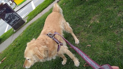 Photos of Uptwon Pets Centro Veterinario