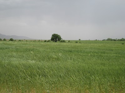 Photos of Aghdash mosque