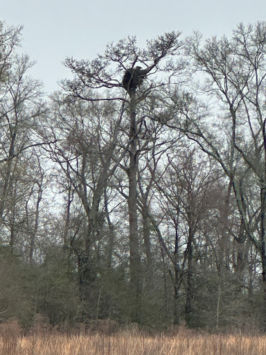 Eufaula National Wildlife Refuge Admin Building And Visitor Contact Station - Thumbnail