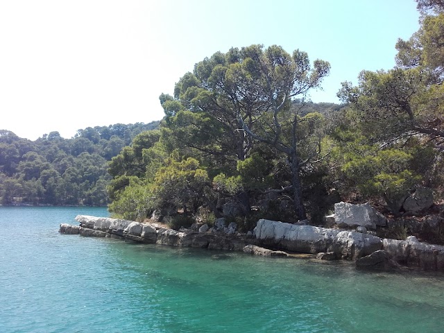 Mljet