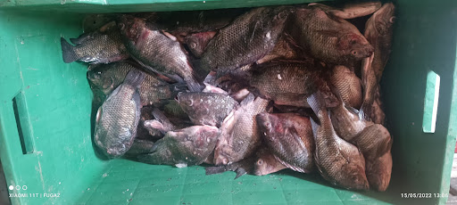 Pescados y Mariscos "mis 3 bendiciones"