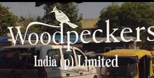 Greenply Plywood (Woodpeckers India (P) Ltd) - Best Plywood Shop And Dealer In DLF Phase-1, Gurugram