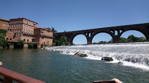 Photo n°9 de Fleurs de Cosmos Chambre d'Hôtes à Albi (Chambre d'hôtes)