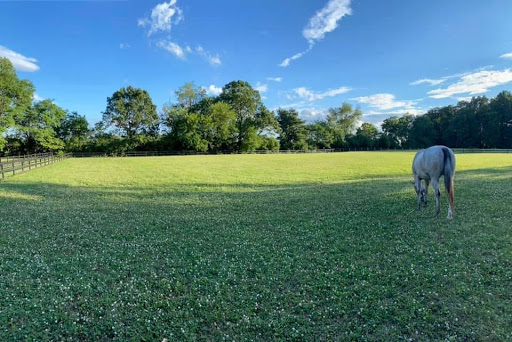 Oak Ridge Equestrian at Hope Lock Farm - Thumbnail