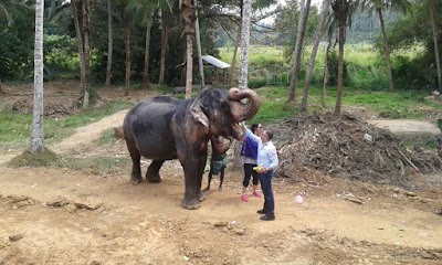 Photos of One and Only Travels (Pvt) Ltd