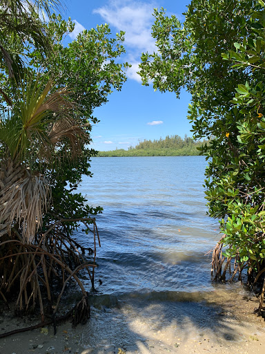 Historical Jungle Trail Parking Lot Gallery - United States