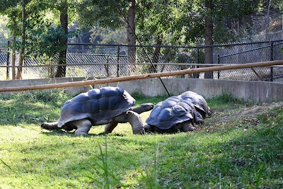 Oakland Zoo