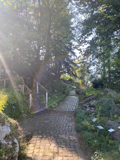 Orta Botanico Di Bergamo "Sezione di Città Alta" - Thumbnail