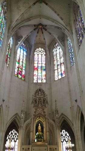 Heures d'ouverture de Basilique royale Notre-Dame-de-Cléry