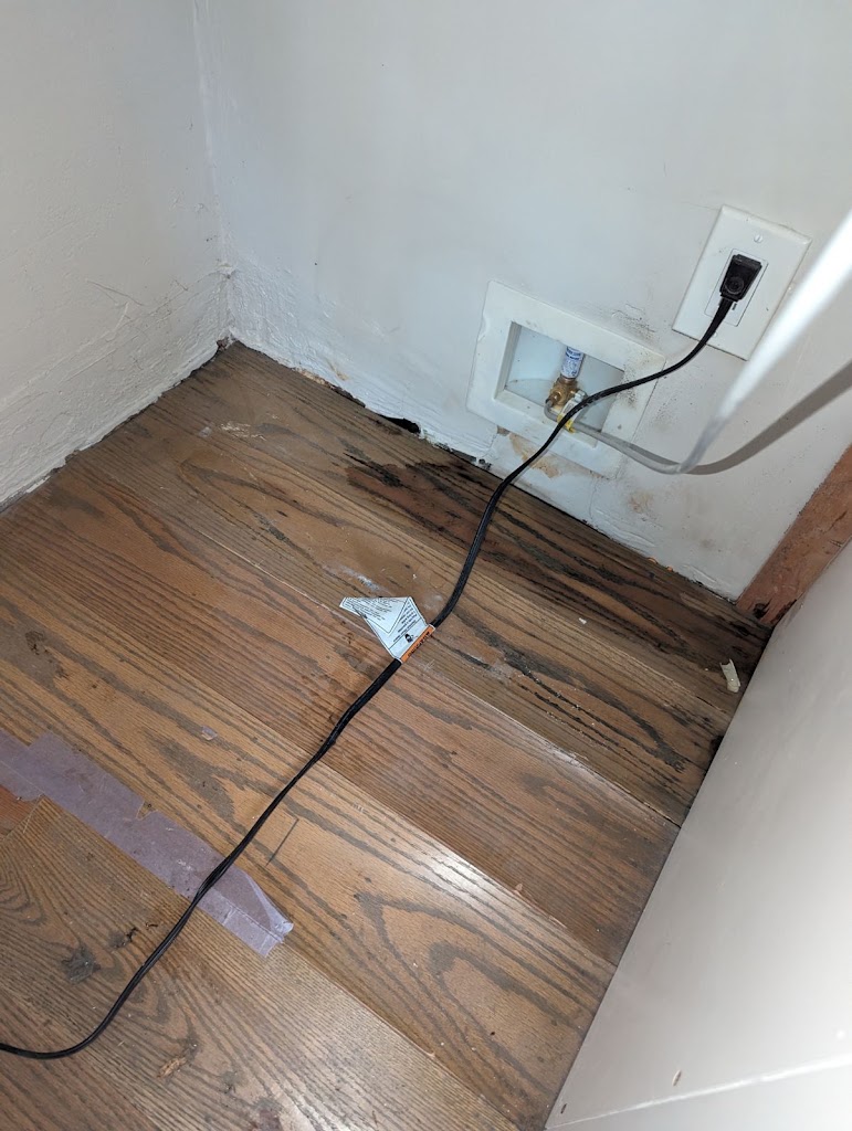 Water Damage Champ photo