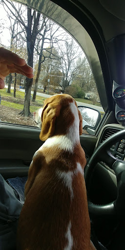 Hopkins Road Animal Hospital - Thumbnail