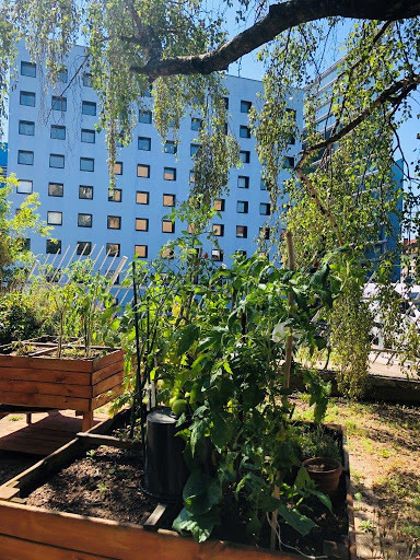 Photo de Groupe ACPPA - Le Pary