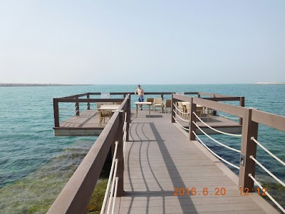 Photos of Fly Fish Water Sports