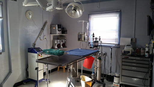 Dominion Animal Hospital - Thumbnail
