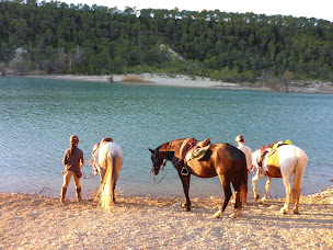 Photo n°13 de Horse Aventure à Fontanès (Pension pour chevaux)