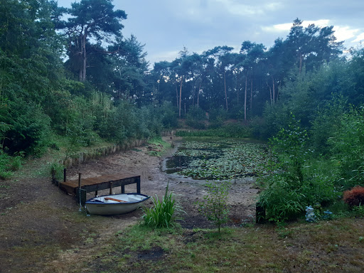 Border Bos - Visual