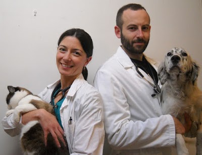 Photos of Ambulatorio veterinario l'Arca