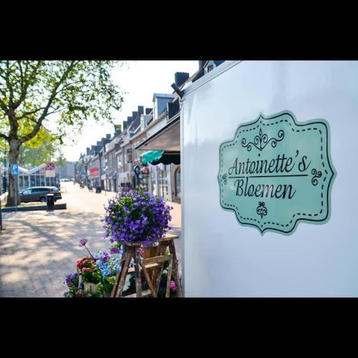 Antoinette’s Bloemen - Thumbnail