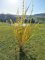 Photo n°23 de La grenouille amoureuse à Menat (Chambre d'hôtes)