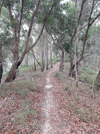 photo of Merinding Track