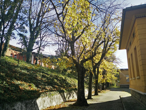 Dipartimento di Scienze della Vita - Thumbnail