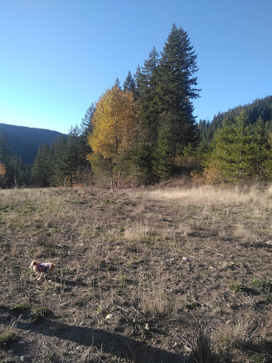 Clackamas River RV Park - Thumbnail