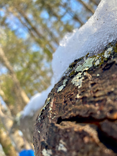 Scotia Range Trails Parking Area & Trail Head - Thumbnail