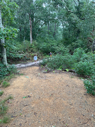 Bell’s Neck Conservation Lands - Thumbnail