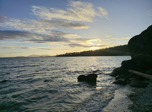 Teddy Bear Cove - Thumbnail