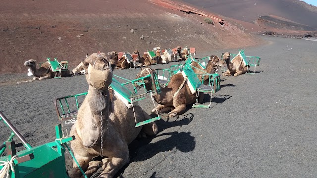 Timanfaya Nationalpark