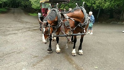 Photos of Mackinac Island Carriage Tours