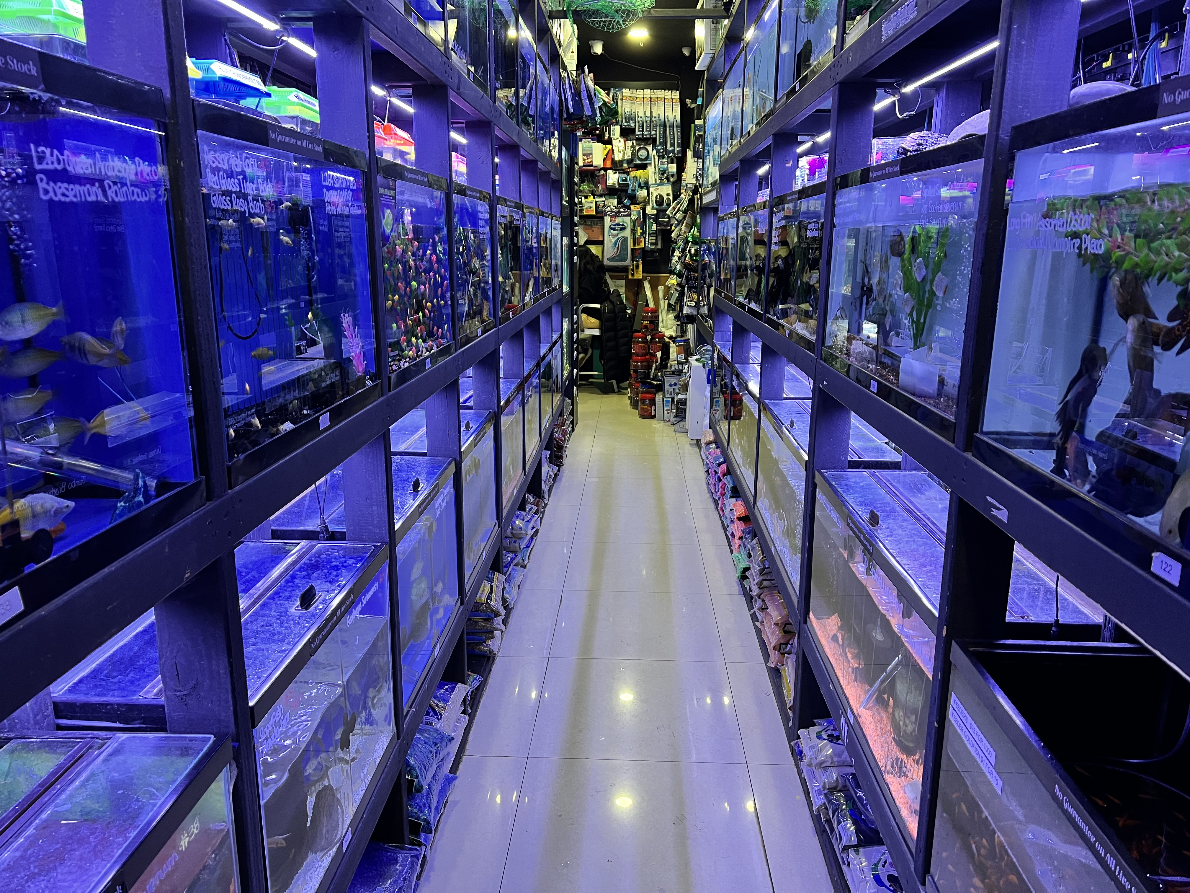 Monster Aquarium Inc - Shop in Queens New York