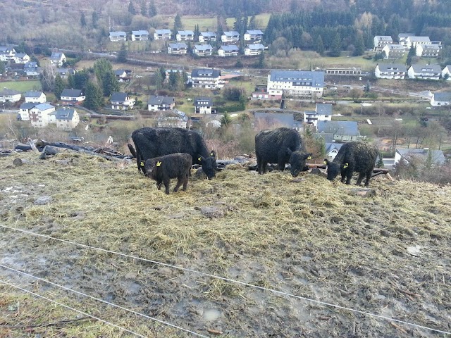 Berghaus Püttmann