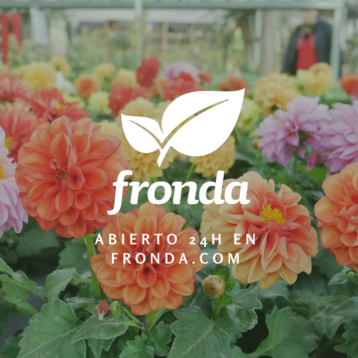Fronda (Magatzem Verd) Cardenal Rossell Gallery - Spain