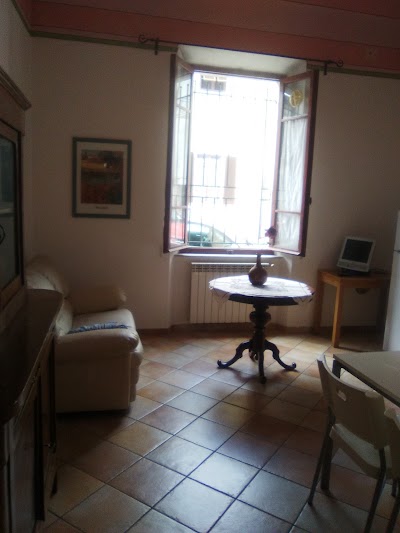 Photos of the sunflower b & b