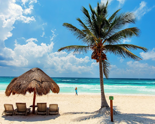 Not Just Travel - Sarah Wareham - Thumbnail