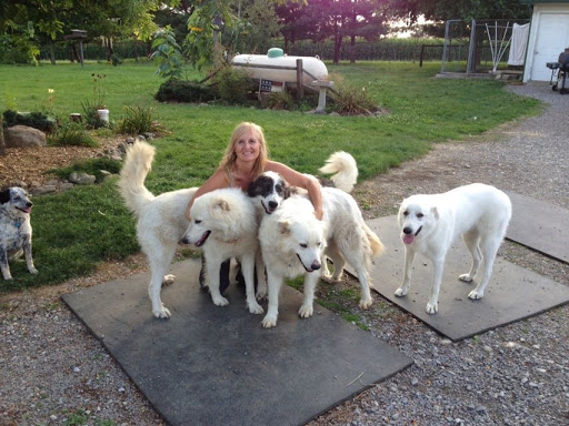 Shiery Animal Clinic Inc