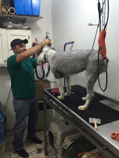 Veterinaria Rodeo's