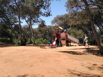 Photos of Forest Harhoura - Space Games