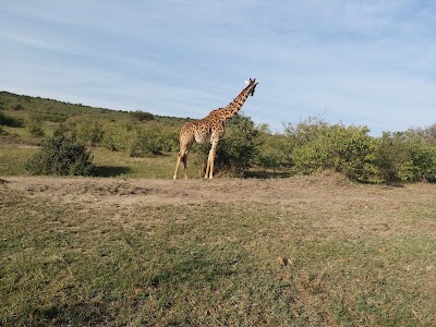 Photos of Osero Camp
